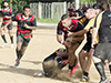 thumb_DSC_6529.jpg